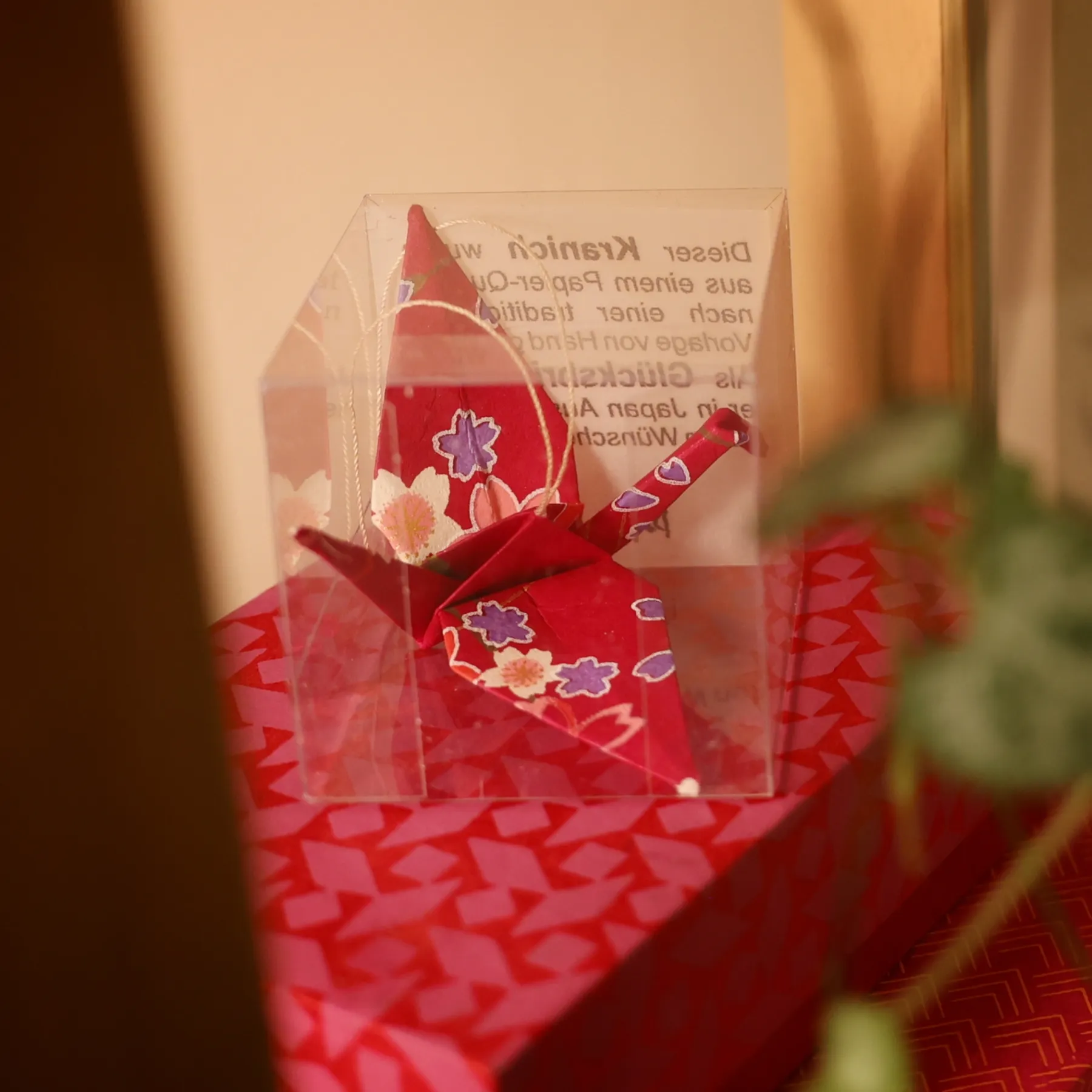 Roter Origami-Kranich in einer Klarsichtbox auf rotem Karton