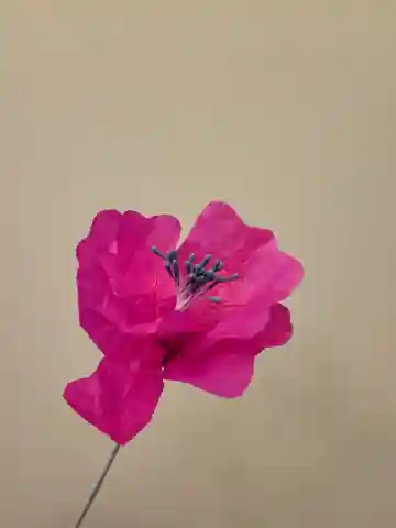 Nahaufnahme einer pinken Seidenpapierblume mit gewellten Blütenblättern